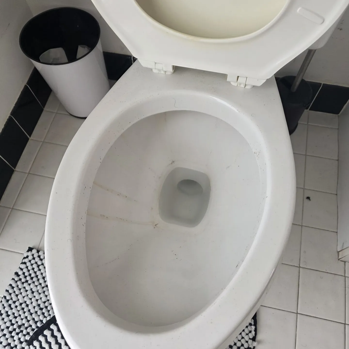 Toilet before cleaning, with stains in the bowl